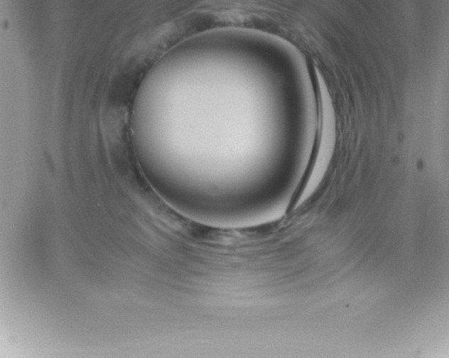 X0000060750229200511241711