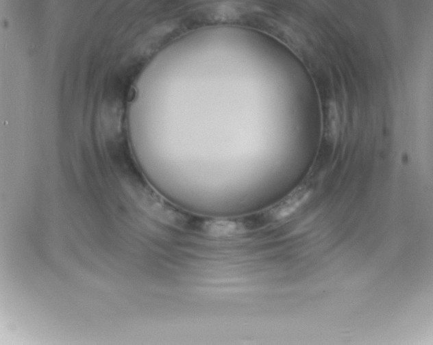 X0000060750230200511241711