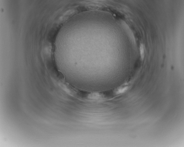 X0000060750231200511241711