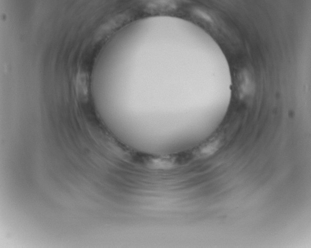 X0000060750232200511241711