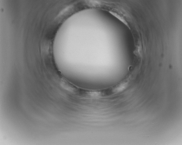 X0000060750233200511241711