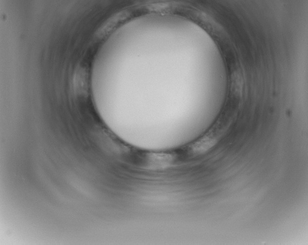 X0000060750234200511241711