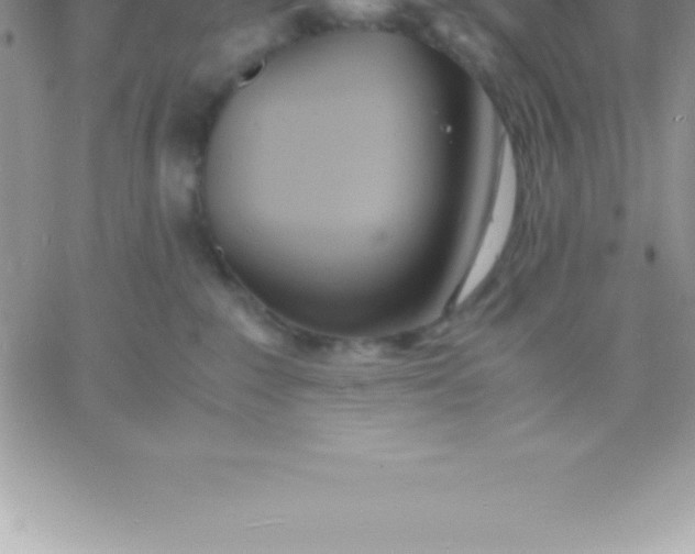 X0000060750235200511241711