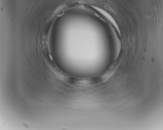 X0000060750237200511241711