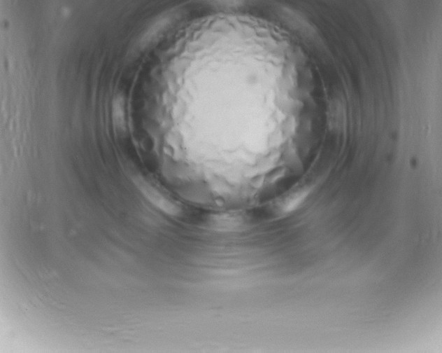 X0000060750238200511241711