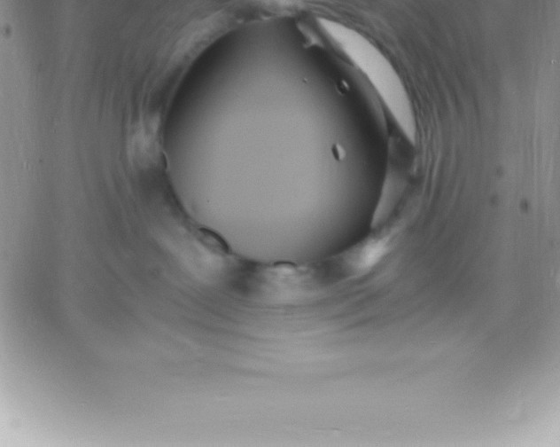 X0000060750239200511241711