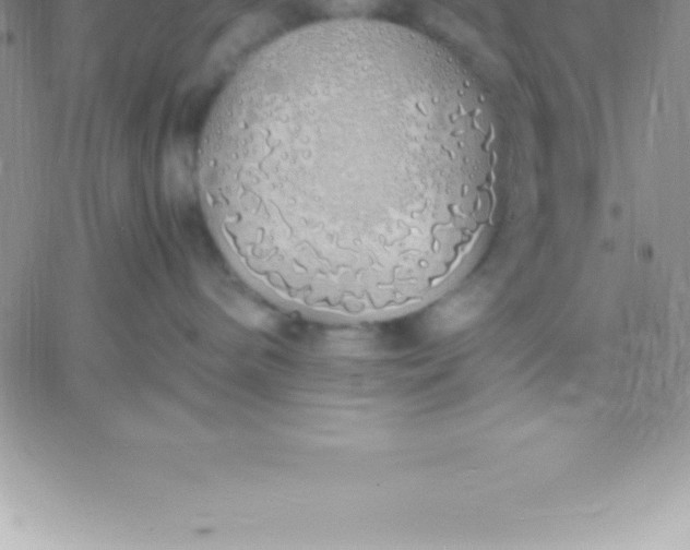 X0000060750240200511241711