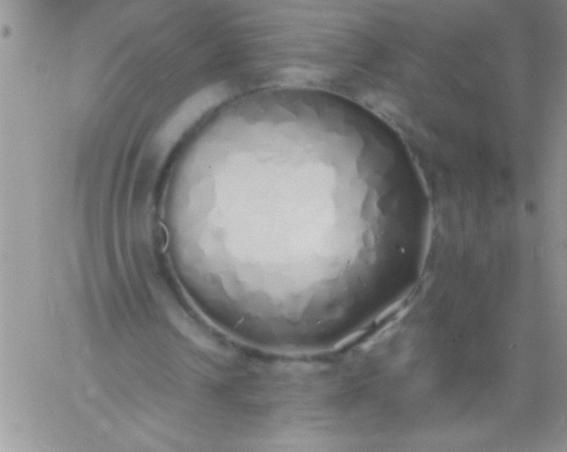 X0000060750242200511241710