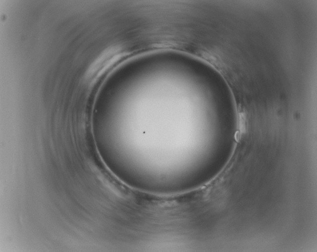 X0000060750243200511241710