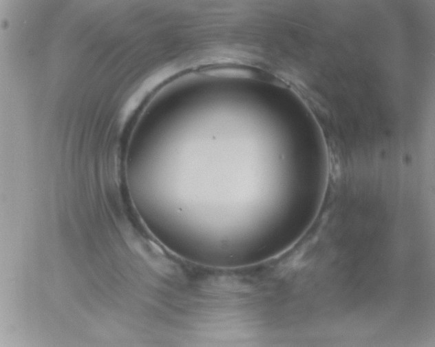 X0000060750244200511241710