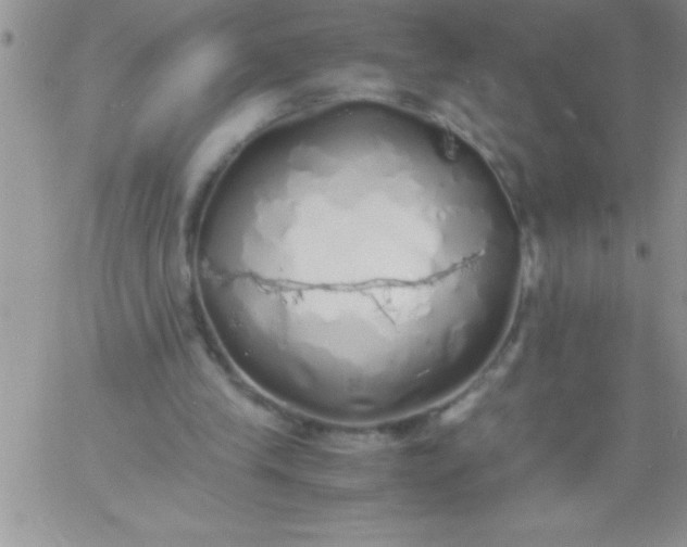 X0000060750245200511241710