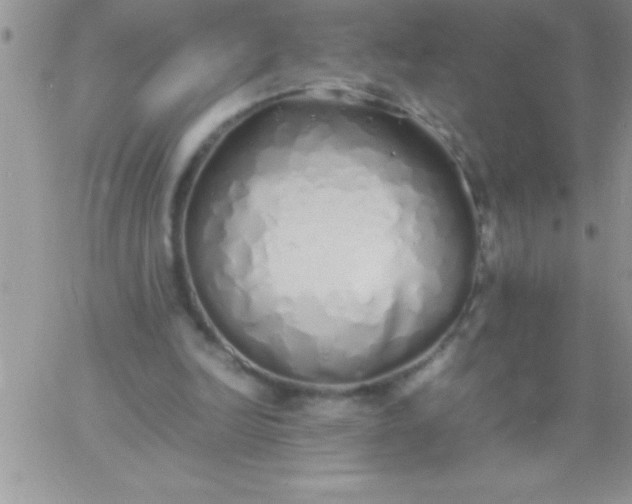 X0000060750246200511241710