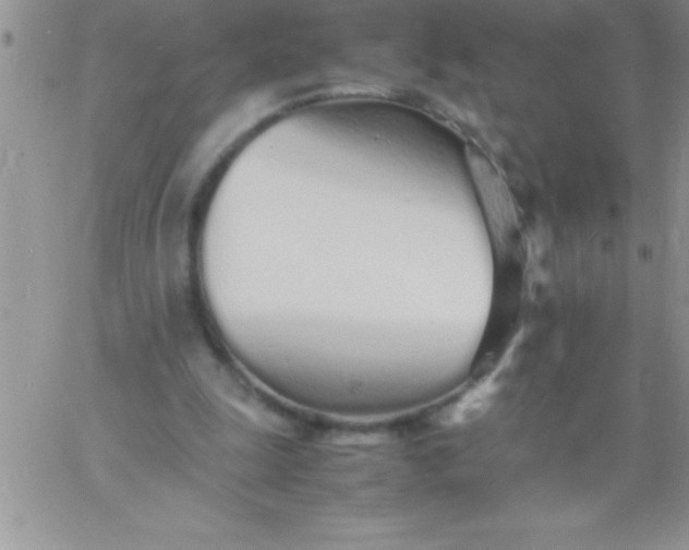 X0000060750247200511241710