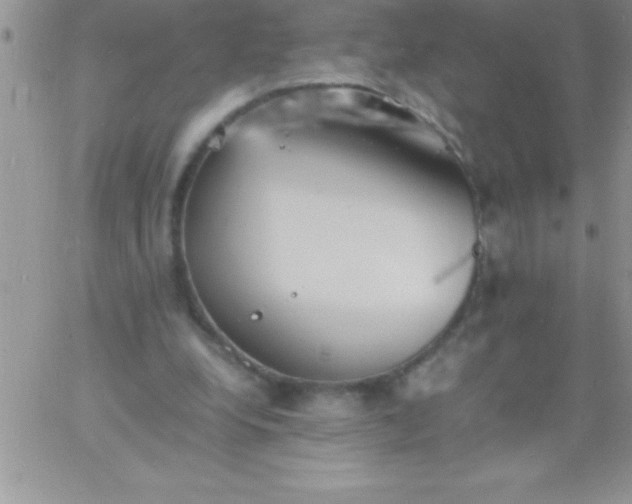 X0000060750248200511241710