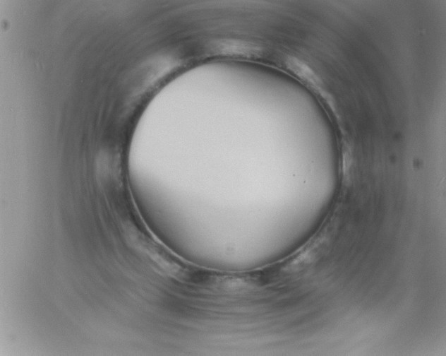 X0000060750249200511241710