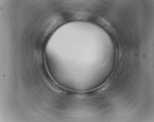 X0000060750250200511241710