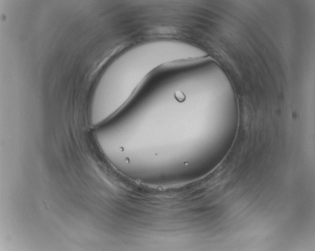 X0000060750251200511241710