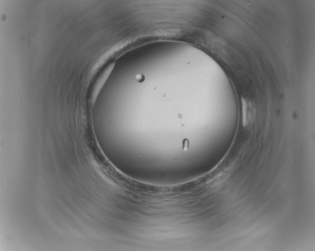 X0000060750252200511241710