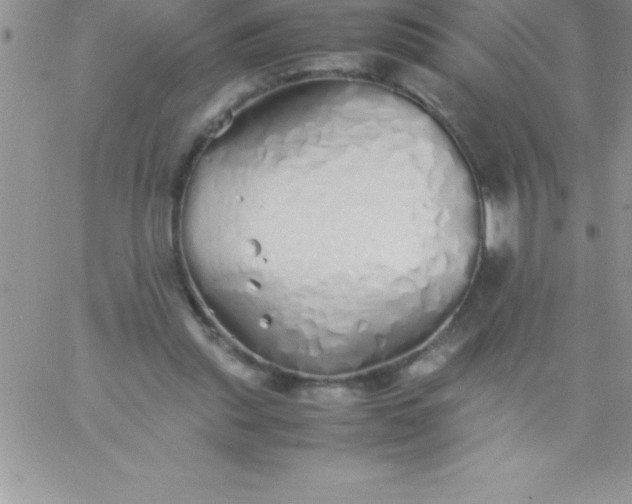 X0000060750253200511241710