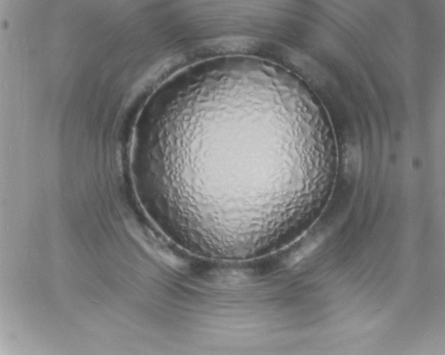 X0000060750254200511241710