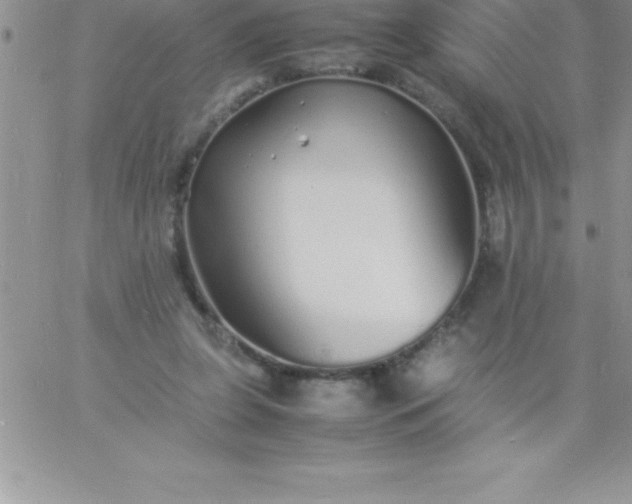 X0000060750255200511241710