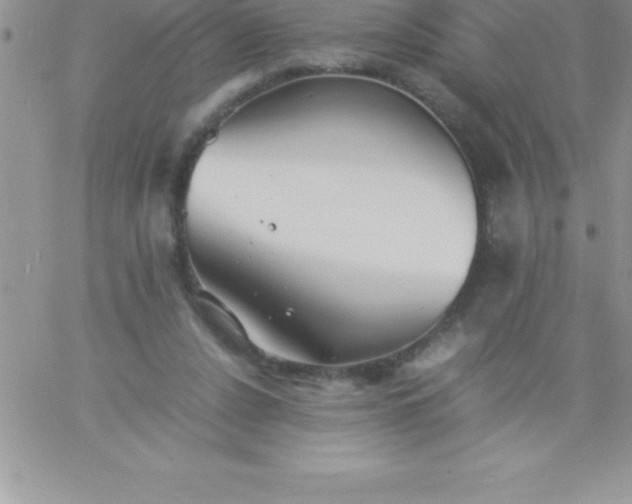 X0000060750256200511241710