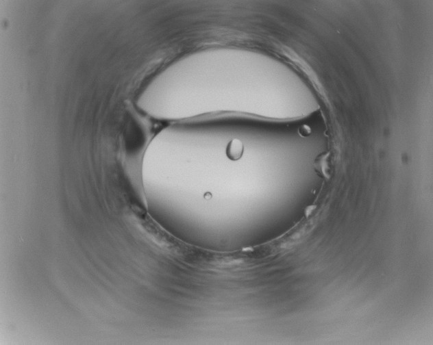 X0000060750257200511241710