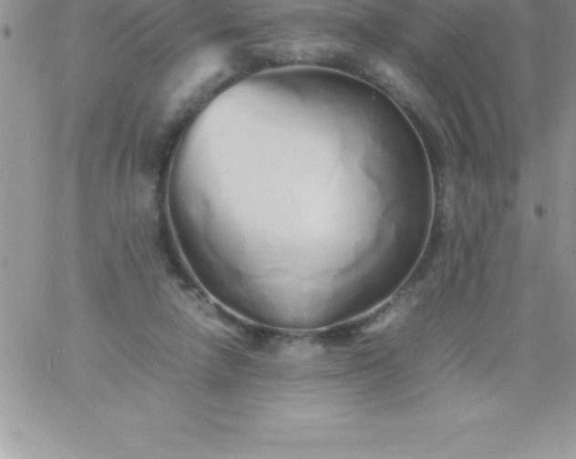 X0000060750258200511241710