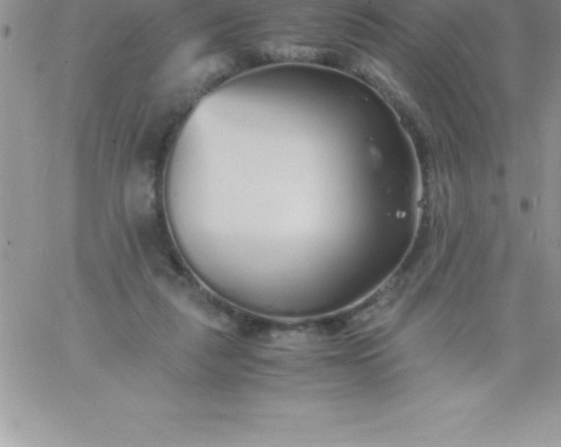 X0000060750259200511241710