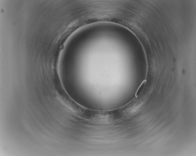 X0000060750260200511241710