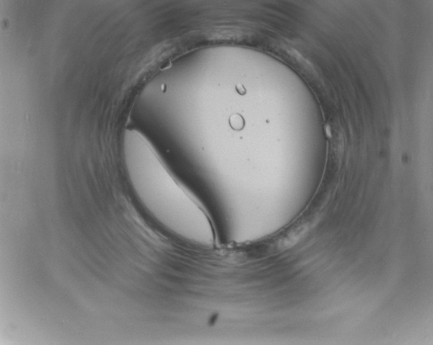 X0000060750261200511241710