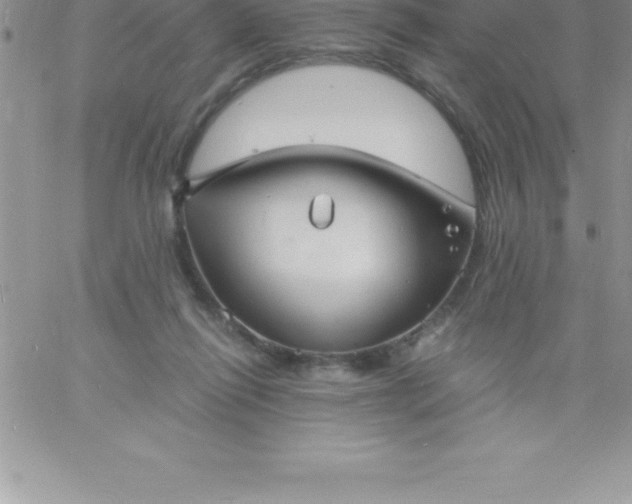 X0000060750262200511241710