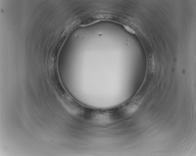 X0000060750263200511241710