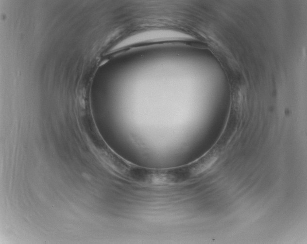 X0000060750264200511241710