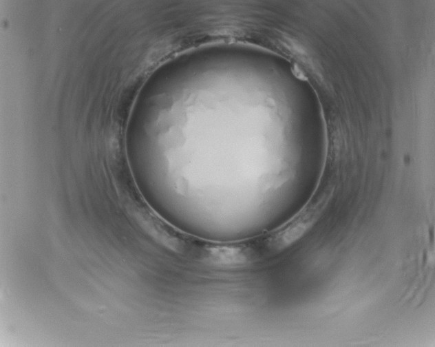 X0000060750265200511241710