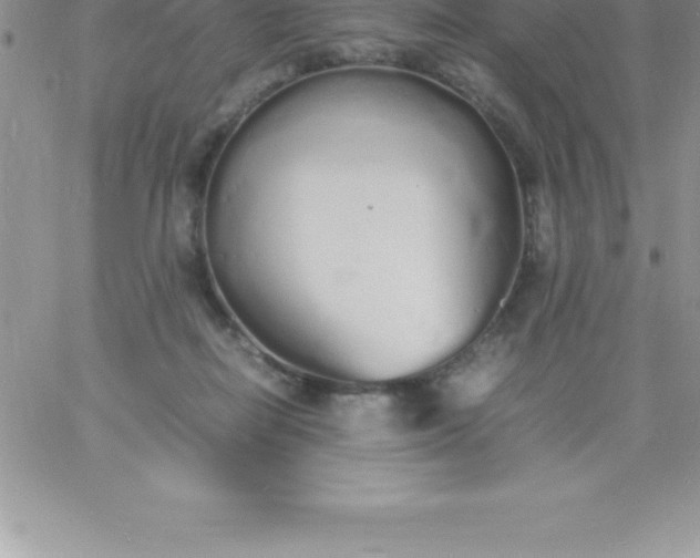 X0000060750266200511241710