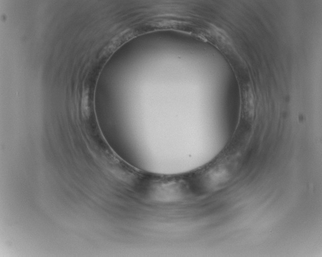 X0000060750267200511241711