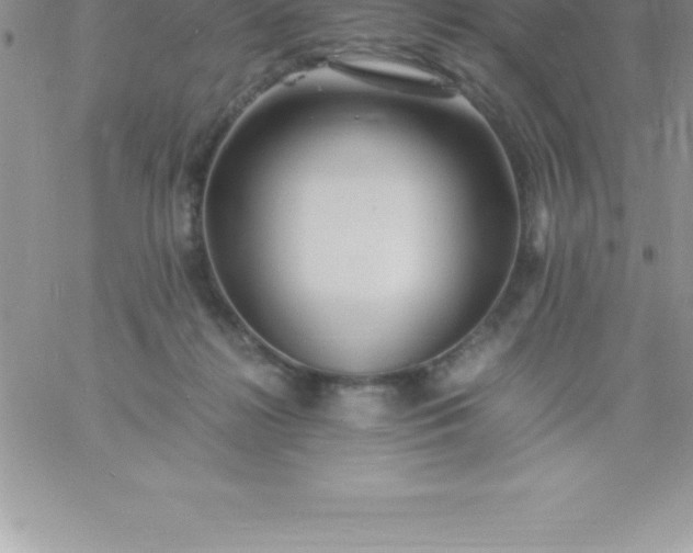 X0000060750268200511241711