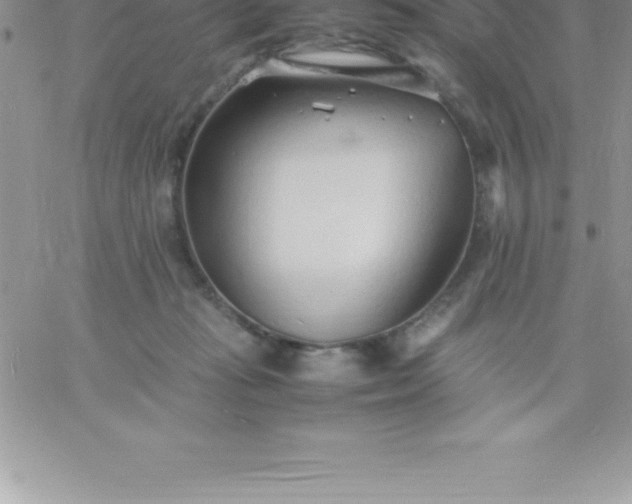 X0000060750269200511241711