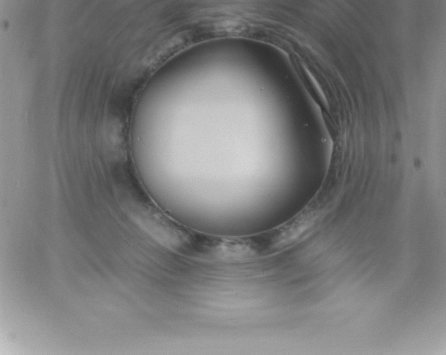 X0000060750270200511241711