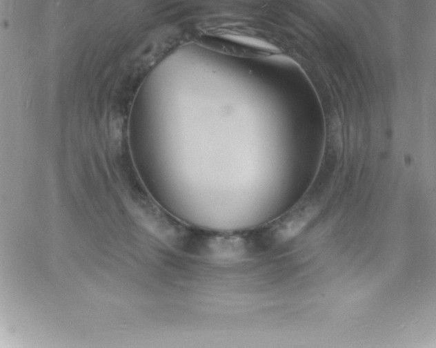 X0000060750271200511241711