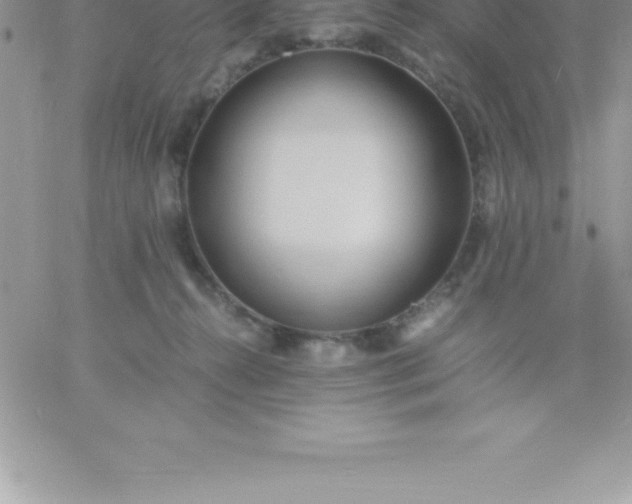 X0000060750272200511241711