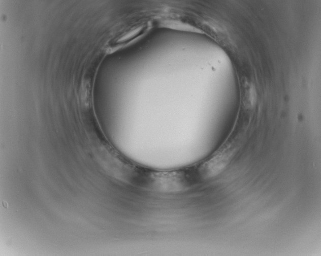 X0000060750273200511241711