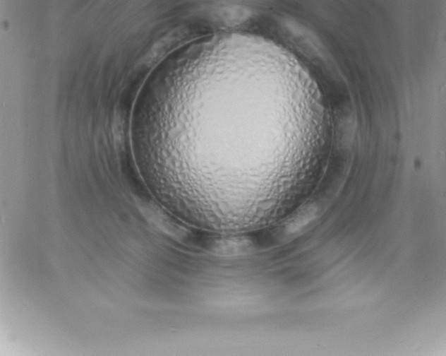 X0000060750274200511241711