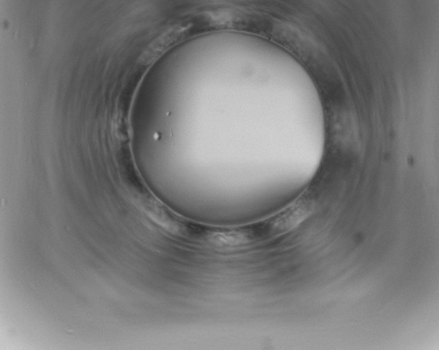 X0000060750275200511241711