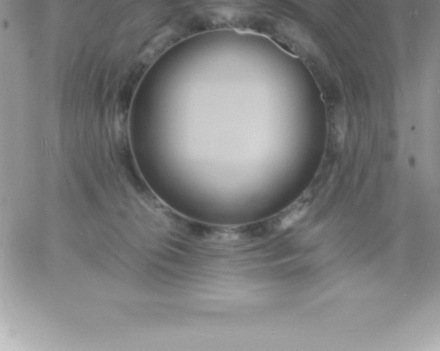 X0000060750276200511241711