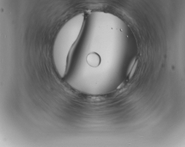 X0000060750277200511241711