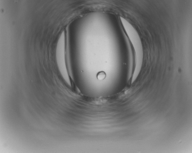 X0000060750278200511241711