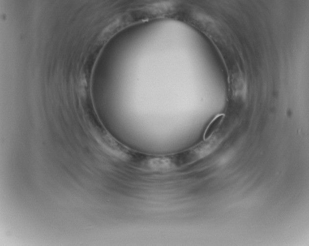 X0000060750279200511241711