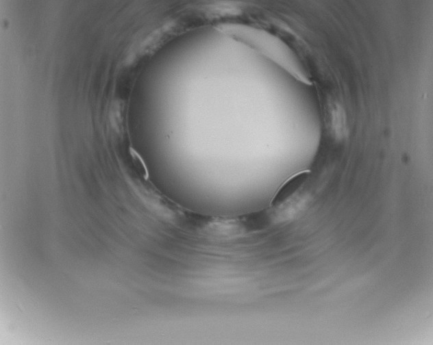 X0000060750280200511241711